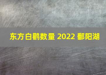 东方白鹳数量 2022 鄱阳湖